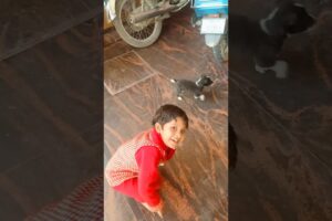 My lovely niece playing with a puppy || #animals #dog #shorts