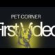 🐶🐱 Our First Pet Video! Funny & Cute Animals Playing | Pet Corner