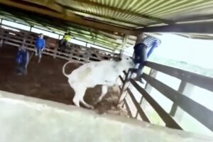 People Having a BAD day 🤣 Best Fails of the Week #27