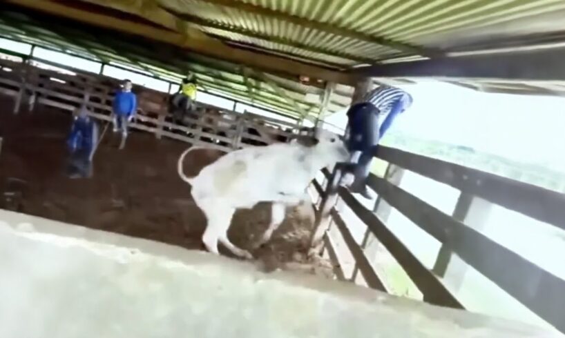 People Having a BAD day 🤣 Best Fails of the Week #27