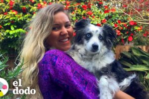 Perro robado es reunido con su mamá después de meses separados | El Dodo