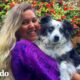 Perro robado es reunido con su mamá después de meses separados | El Dodo