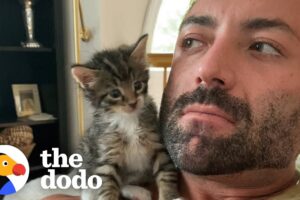 Phone-Sized Kitten Turns Guy Into A Cat Person | The Dodo