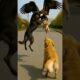 Police dog rescues puppy from eagle  #dog #saves