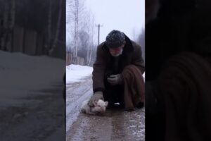 Poor Piglet was rescued from an icy road #helping #animals #rescue