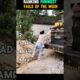 “Ranking the FUNNIEST Fails of the Week 😂🔥 #shorts”