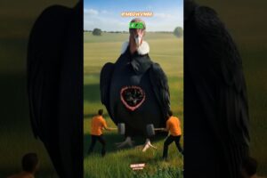 Rescue Quill Birds From Giant Condor | Extreme Animal Rescue Mission #funny #animals #rescuemission