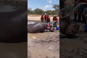 Rescue Team Members Saved This Animal