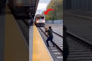 Respect This Hero 🙌🇺🇸 | Emotional Animal Rescue on Train Tracks