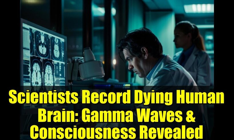 Scientists Record Dying Human Brain: Gamma Waves & Consciousness Revealed