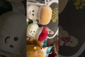 See the Awesome Dog toys and CUTEST Puppies at Pet Store✨#puppy #dogtoys #dogs #puppylove #cute #fun