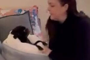 She adopted this dog. Then came a big surprise.