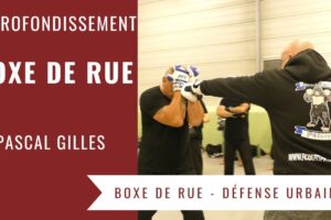 TECHNIQUES DE BOXE DE RUE - APPROFONDISSEMENT (PASCAL GILLES - ACADEMIE ROBERT PATUREL)