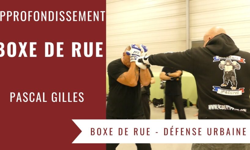 TECHNIQUES DE BOXE DE RUE - APPROFONDISSEMENT (PASCAL GILLES - ACADEMIE ROBERT PATUREL)