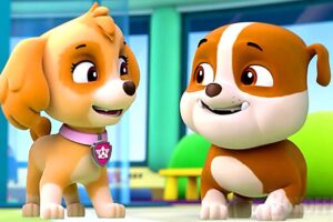 The CUTEST Puppies from PAW Patrol 🌀 4K