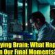 The Dying Brain: What Happens in Our Final Moments? | New Scientific Study
