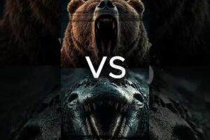 The Wildest AI Animal Fight Tournament Ever