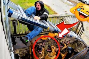 The best fails of the week 😲🤣