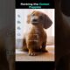 Top 5 Cutest Puppies! 🐶🐕❤️ #puppy #cutedog #doggo