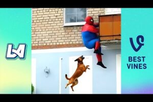 Top 50 Best Funny Videos In 2025 - Craziest Funny Fails