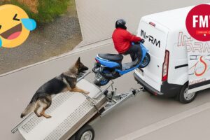 Try Not To Laugh 🤣 Top 100 Funniest Videos Ever 😂 | Funny Videos Compilation 2025 #6