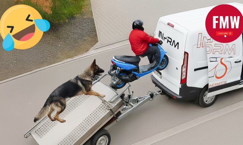 Try Not To Laugh 🤣 Top 100 Funniest Videos Ever 😂 | Funny Videos Compilation 2025 #6