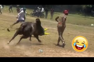 Try Not to Laugh Challenge #1 🤣 Best Fails of the Week