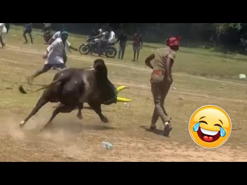 Try Not to Laugh Challenge #1 🤣 Best Fails of the Week