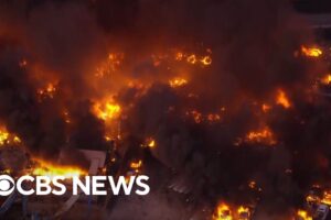 Videos capture moment UPS plane crashes in Louisville, Kentucky