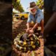 Vineyard Owner Fights Snake To Save His Dog! #rescue #animals #pets