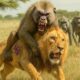 WILD SAVANNAH: RISE of the BABOON TROOP Against the Lions of the Grasslands | Wildlife Documentary