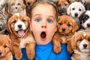 We Surprised Our Daughter With This...