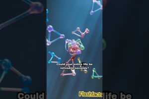 What Does the Brain See Before Death? 💀🧠