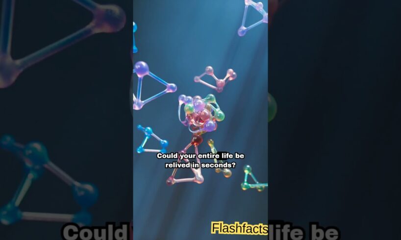 What Does the Brain See Before Death? 💀🧠