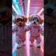 What REALLY Happens When Cute Puppies Dance Together