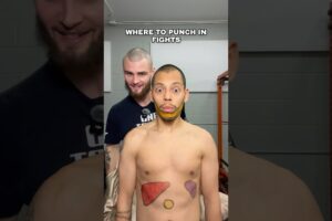 Where To Punch In Fights #streetfighter #fight #martialarts #boxing