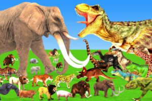 Wild Elephant vs T-Rex Dinosaurs Versus Wild Animals Epic Battle Animal Revolt Battle Simulator
