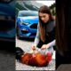 “Woman Rescues Injured Rooster on Road – Heartwarming Animal Rescue”