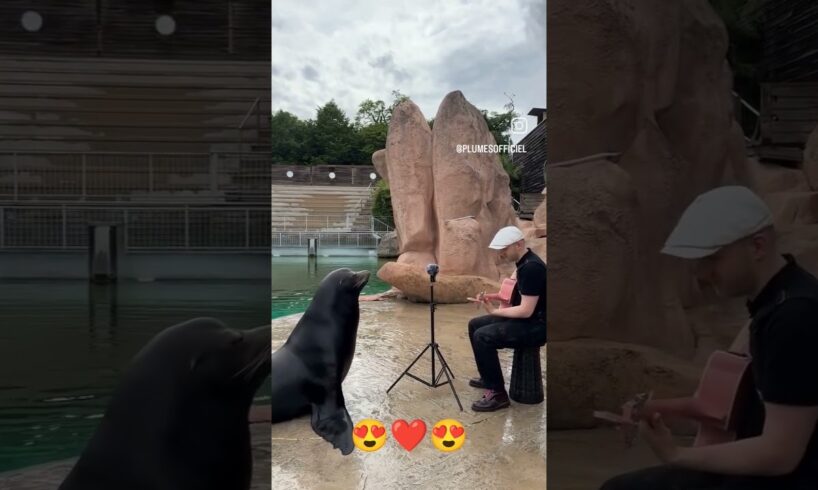 a guy plays guitar and sings for a sea lion. Sea lions Reaction at the END is Precious.👍#video