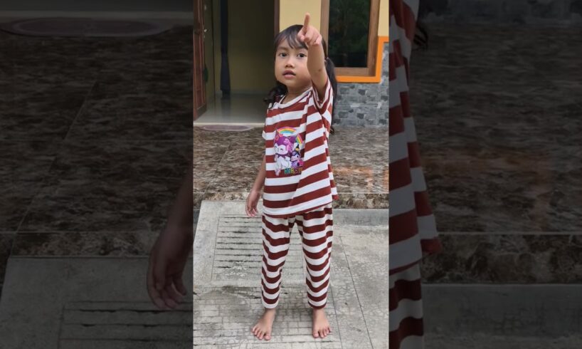 anak anjing lucu #funny #shorts