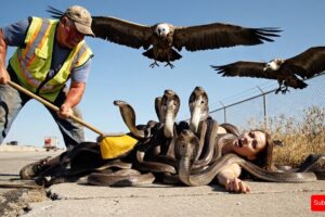 animal rescue stories: Woman on bike rescued from snake attack