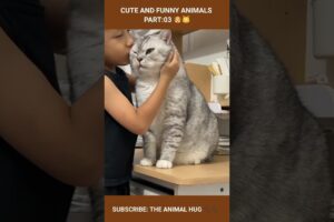 cute baby playing with kitten cute and funny animals part:03 #shorts #cat #funny #animals