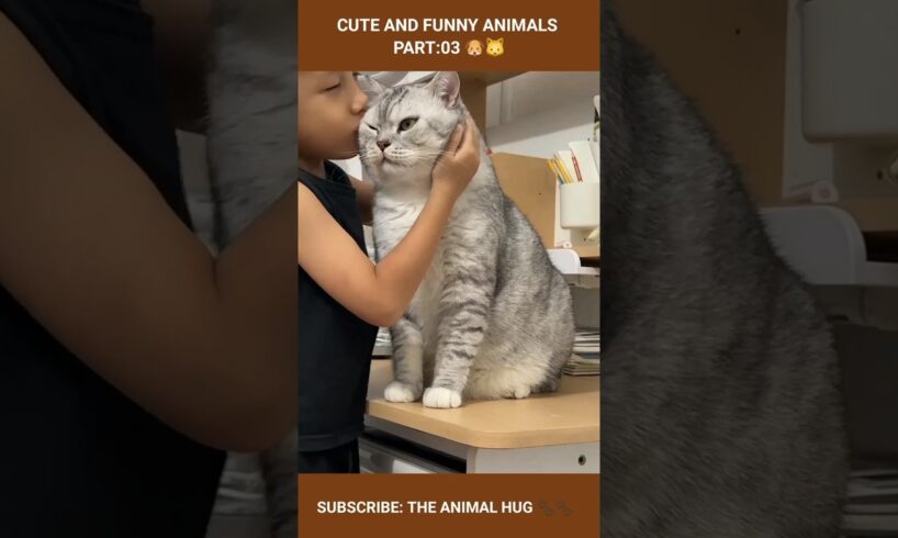 cute baby playing with kitten cute and funny animals part:03 #shorts #cat #funny #animals