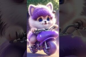 cute puppies #puppylove #cutedogs #puppies #petsrule #puppies lovers #dogs lovers #aquaticpets