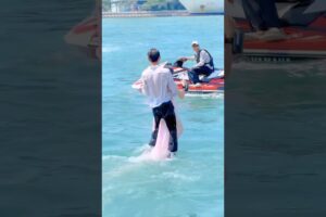 #flyboard #watersport #watersports #extremesports #adventure