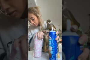 snapchat👻- madelinebennet       #madlovesripley #monkey  #beauty #grwm #animals #funny #viral