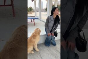 कुत्ते की वफादारी ने उसे घर दिलाया 😊