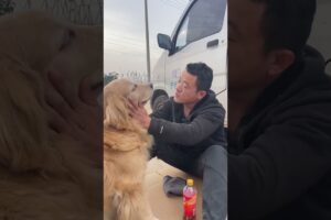 कुत्ते ने दोस्ती करके मजा चखाया 🤣