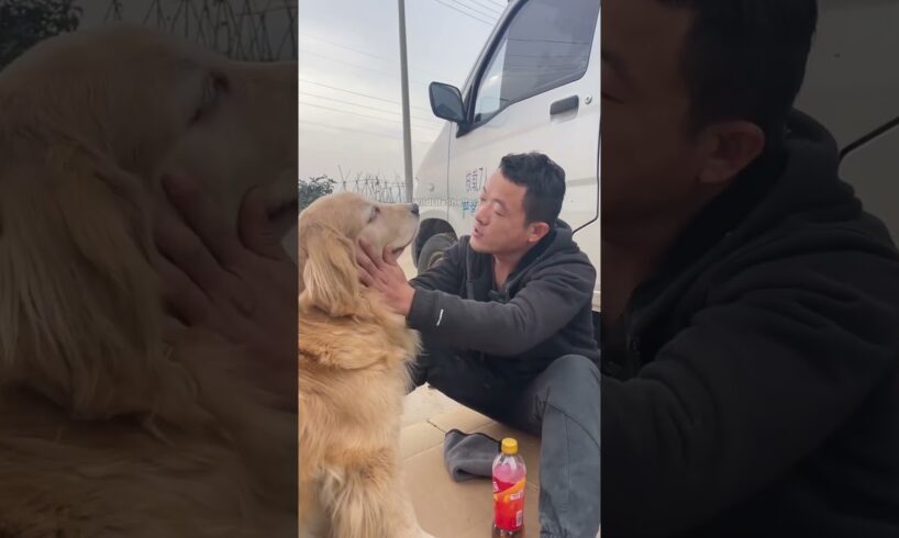 कुत्ते ने दोस्ती करके मजा चखाया 🤣