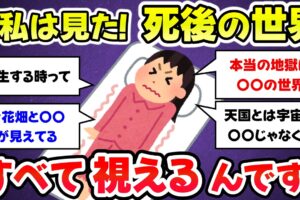 【総集編】本物の転生者現る、死後の世界について話します、臨死体験談【有益スレ・ガルちゃんまとめ】